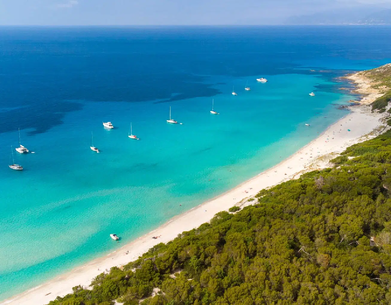 Plage taxi Saleccia rapide