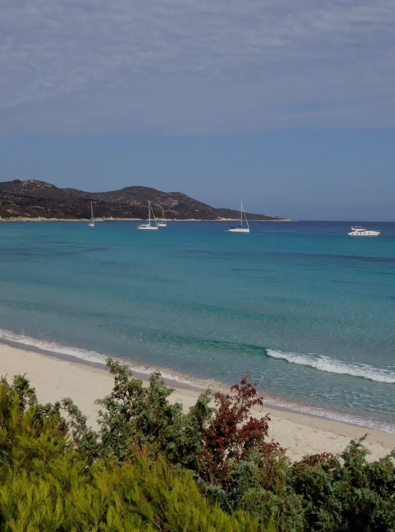 taxi boat saint florant france